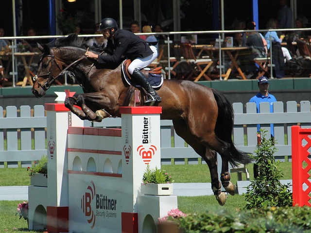 的越来越 的越来越