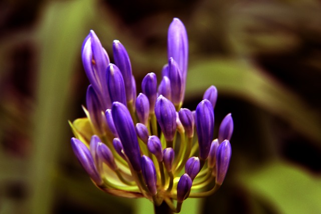 少有大伤 少有大伤