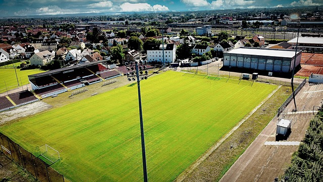 馨而略带伤 馨而略带伤