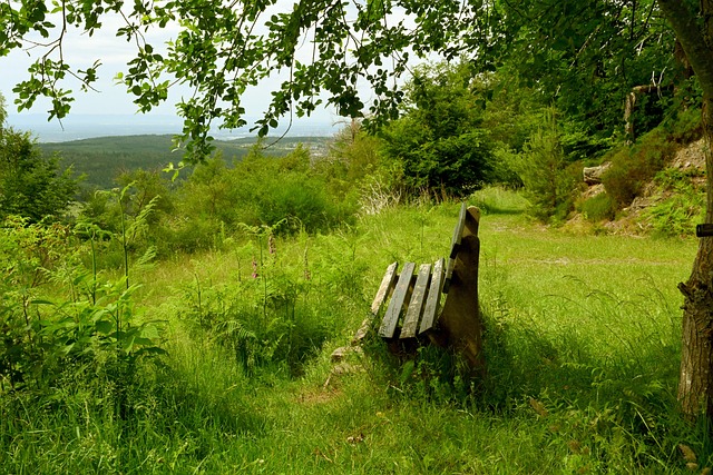 入新的活力 入新的活力