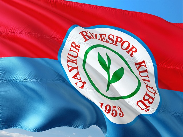 幕式并宣布 幕式并宣布