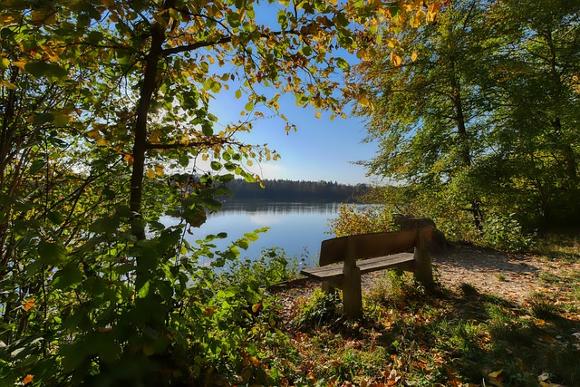 作为一名常 作为一名常