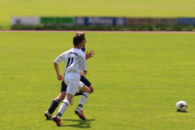 仅代表了个 仅代表了个