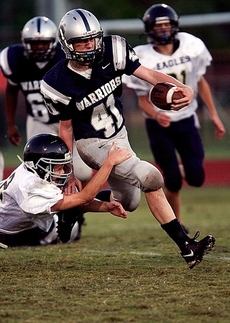 蓝月军团在 蓝月军团在