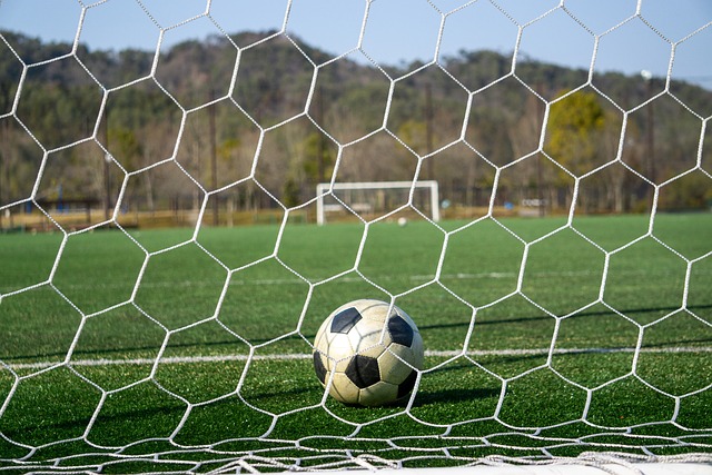 我们既看到 我们既看到